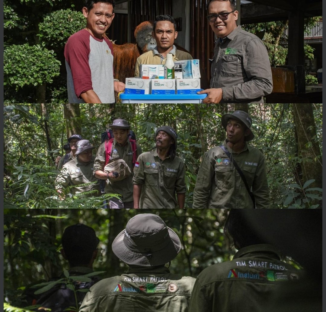 INALUM Dukung Patroli Konservasi di Gunung Leuser, Perkuat Komitmen Lindungi Habitat Satwa Langka post thumbnail image